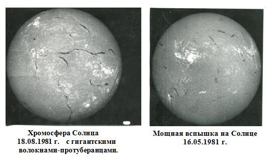 zerna-pamyati-006